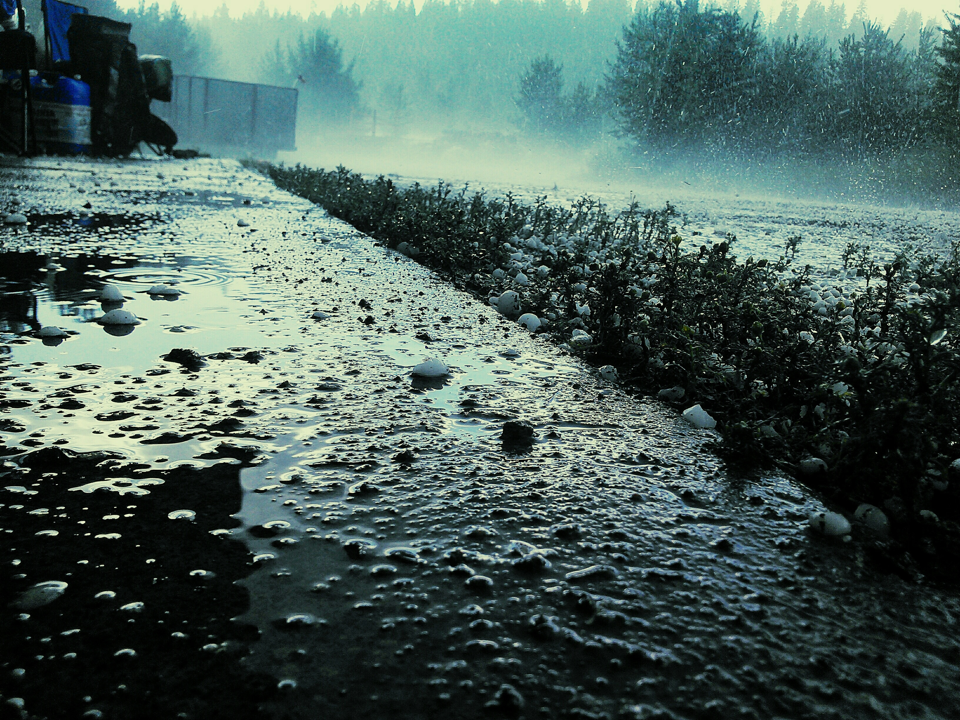 Furtunile puternice au compromis culturile agricole în vaste regiuni ale țării. Cele mai afectate zone