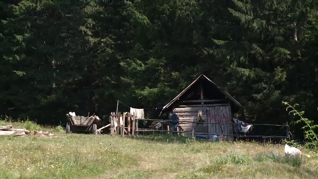 Tânăr ucis cu topoarele de rudele fostei soţii şi aruncat în şanţ. "Andrei trebuie să moară!"