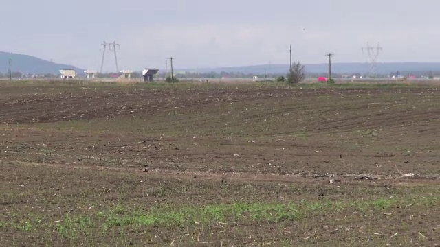 Ce spune ministrul Agriculturii despre rezervele de alimente. Fermierii, speriaţi de secetă
