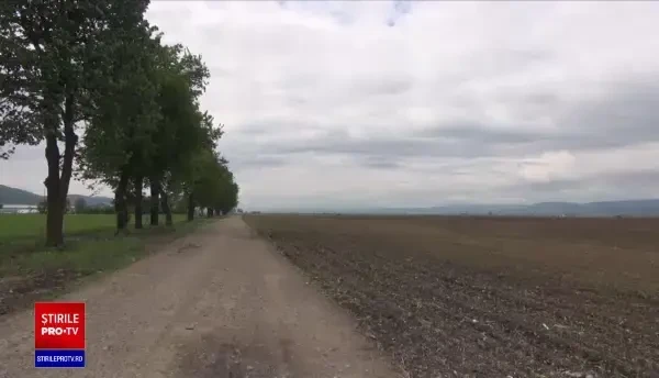 Ce spune ministrul Agriculturii despre rezervele de alimente. Fermierii, speriaţi de secetă