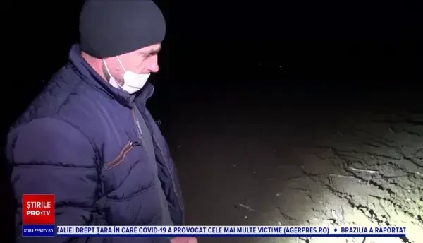 Agricultorii din Bacău, terorizați de mistreți. „Trebuie să stăm de pază să nu ne strice recoltele”