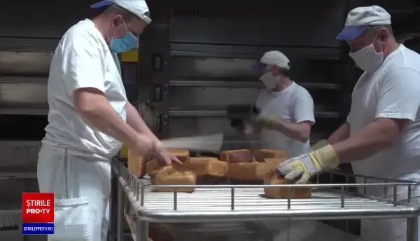 Noi măsuri pentru protejarea angajaților care se întorc la muncă. Cum s-au schimbat spațiile de lucru