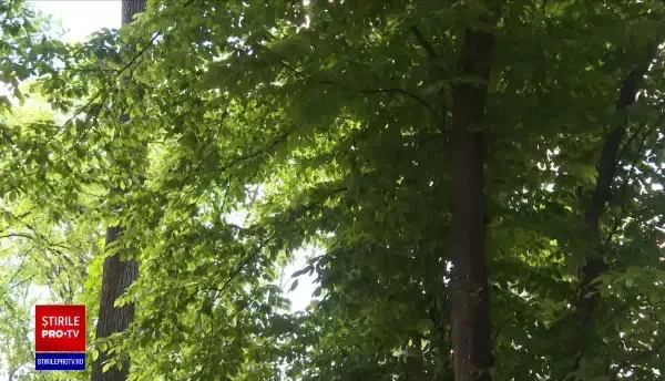 Ce opțiuni au părinții care nu pot sta vara acasă cu copiii. Școlile de vară, în discuție