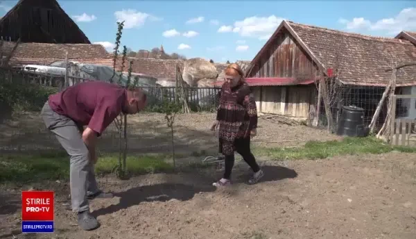 Ce putem învăța după izolare: munca de oriunde. Cum poți lucra din casa bunicilor sau din sate pierdute în munți