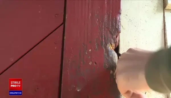 Femeie ținută de 13 ani într-un grajd de îngrijitorii ei. Cum a fost găsită de poliție