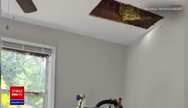 Descoperire uluitoare făcută de un american în tavanul casei pe care tocmai o cumpărase