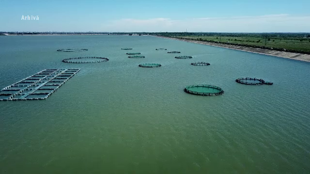 Inovație în domeniul acvaculturii românești, la Galați. Cum este monitorizată calitatea apei din bălț