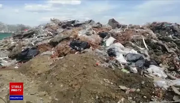 Mormane de gunoaie zac aruncate într-un cimitir din Brașov. Oamenii sunt revoltați de mirosul greu