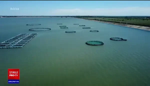 Inovație în domeniul acvaculturii românești, la Galați. Cum este monitorizată calitatea apei din bălț
