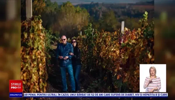 Starea de urgență a creat pagube uriașe producătorilor de vinuri din România. Cum și-au salvat afacerile