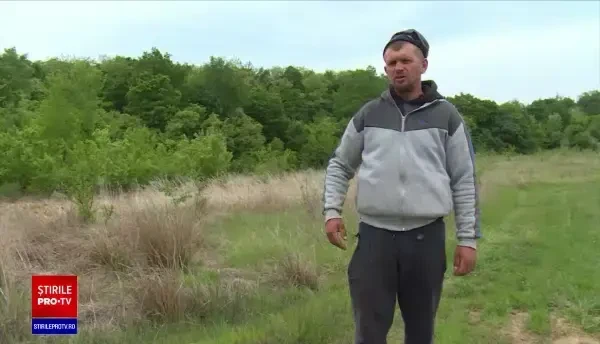 Un bărbat din Dâmbovița, bătut cu sălbăticie, după o criză de gelozie: „L-au luat la omor”