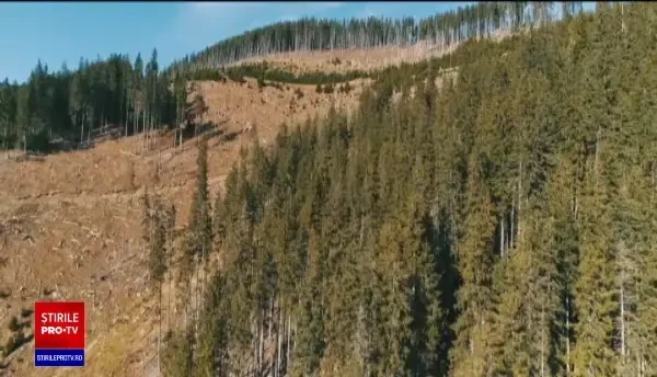 Ministrul Mediului: „Suprafața pădurilor seculare, strict protejate din România, se va dubla”