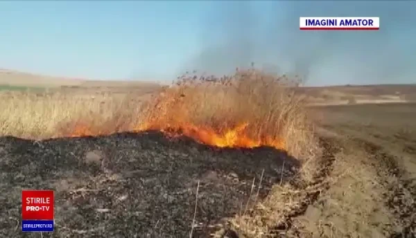 Incendiile de vegetație iau amploare în România. Semnalul de alarmă tras de activiștii de mediu