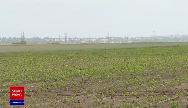 Planul UE pentru a ajuta țările membre, în contextul pandemiei. Cum poate beneficia România