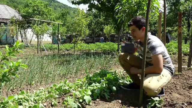 Elevii care pe timp de pandemie cultivă legume acasă. Anul trecut au câștigat 25.000 de lei