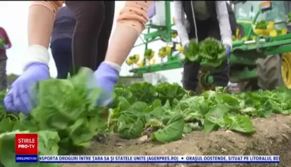 Bulgaria, Grecia și Serbia au creat o "bulă" unde oamenii pot călători fără restricții