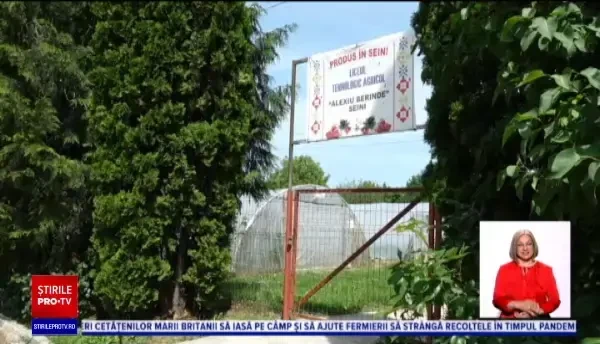 Elevii care pe timp de pandemie cultivă legume acasă. Anul trecut au câștigat 25.000 de lei