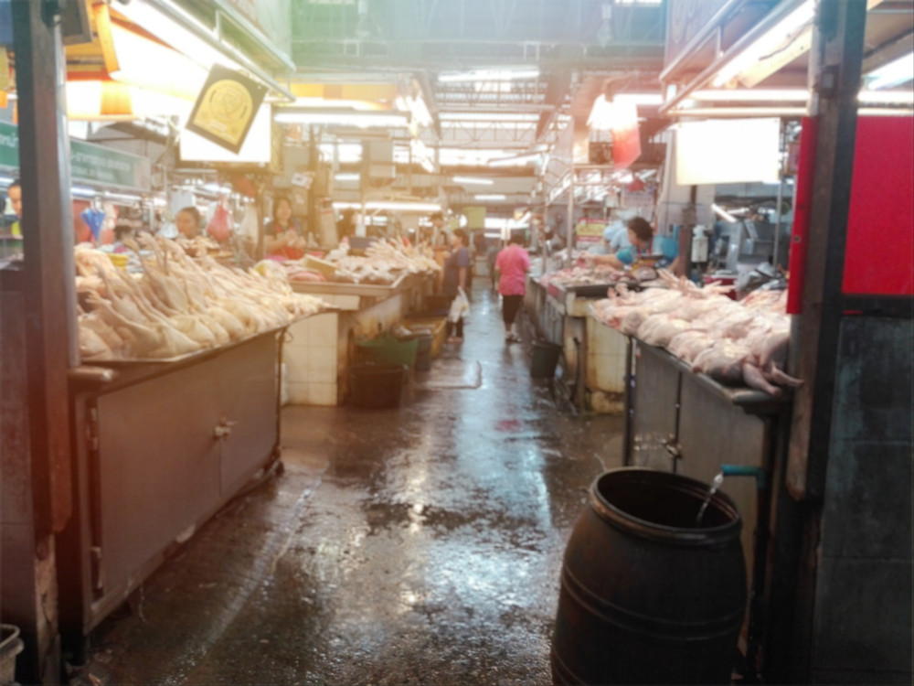 Autoritățile din Wuhan au interzis consumul de animale sălbatice