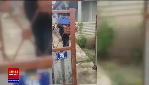 Cum arată trei pui de bufniță, salvați după furtunile care au lovit România