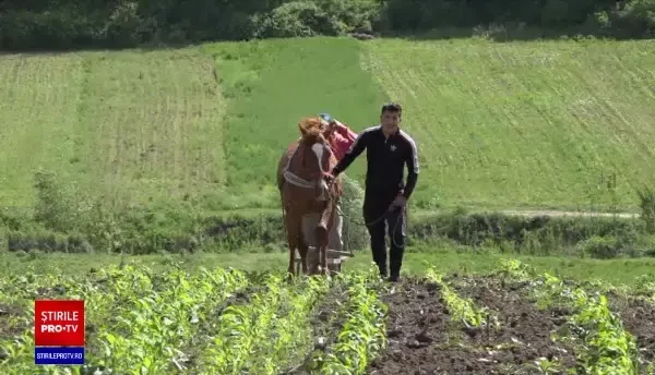 Problema măștilor de protecție în sate. Mulți și le-au făcut acasă: „N-am avut bani. Cu ce?”