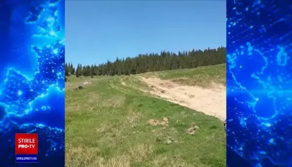 Vilele la mare, atracția momentului pentru turiștii din România. Cât costă chiria pentru o săptămână