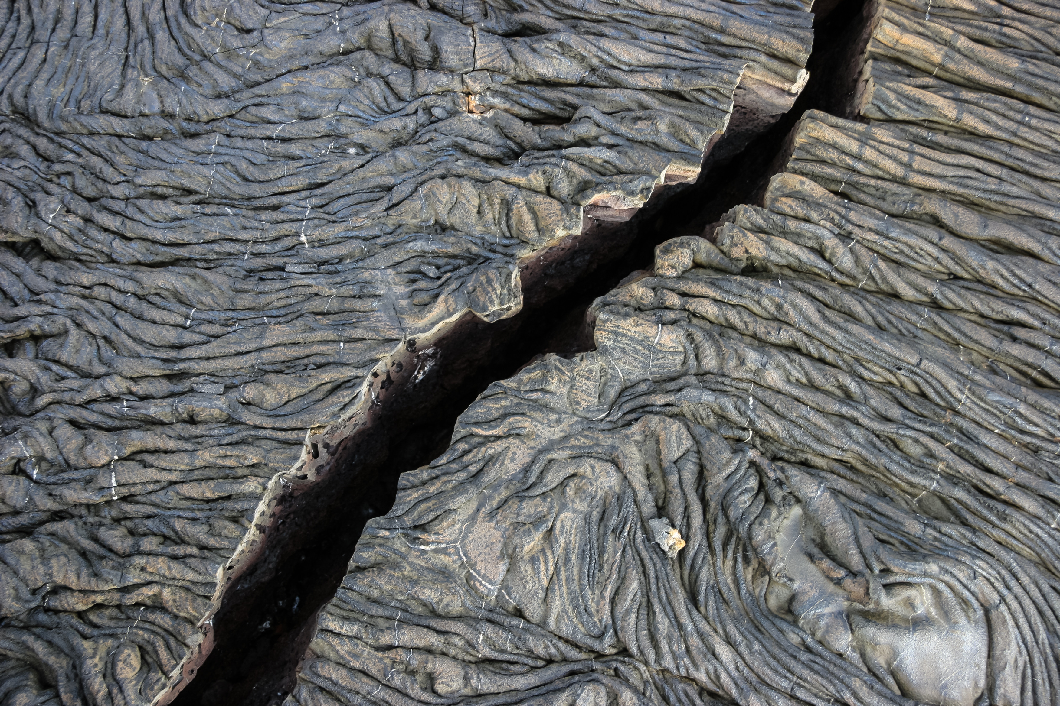 Anunț îngrijorător. O uriașă placă tectonică de pe glob „se rupe în două”. Care ar fi urmările