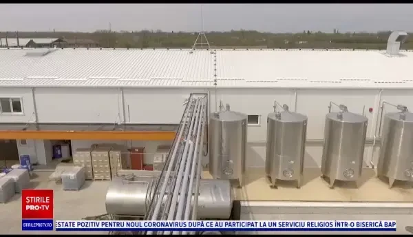 Producătorii de lapte și carne din România, grav loviți de criza provocată de coronavirus