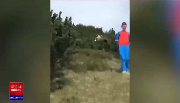 Cum a reușit un copil din Italia să scape de un urs aflat la câțiva metri de el