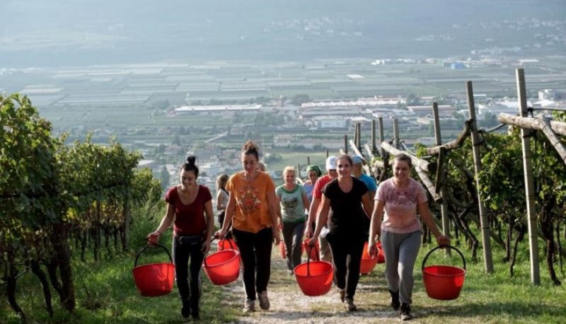 Cine sunt cele 8 muncitoare românce duse în Italia cu avionul privat. Angajator: "Aveam nevoie de ele"