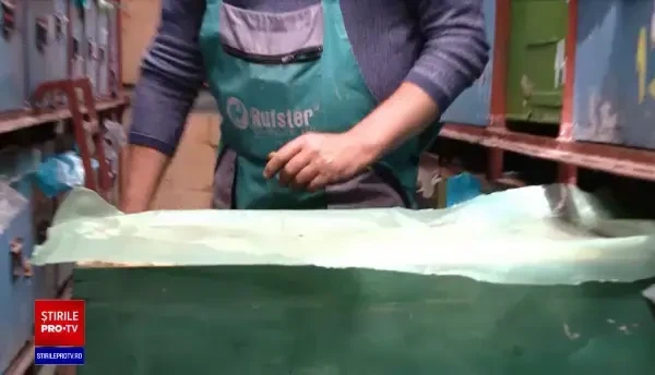 Apicultori: Anul acesta vom avea miere românească mai puțină și mai scumpă