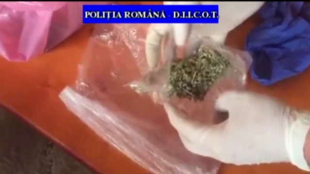 Traficanți de droguri în Prahova. Ce au făcut oamenii legii