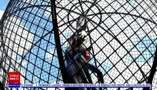 Cinematografele drive-in, o nouă soluție pentru petrecăreți. Modul inedit în care a avut loc o reprezentație de circ