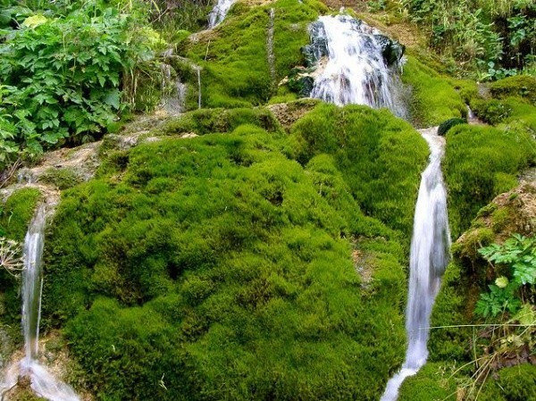 Vidra, un loc cu peisaje de poveste, perfect pentru vacanţa de vară