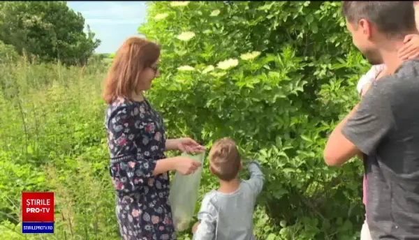 Producătorii tradiționali s-au mutat cu comenzile în online și fac livrări la domiciliu