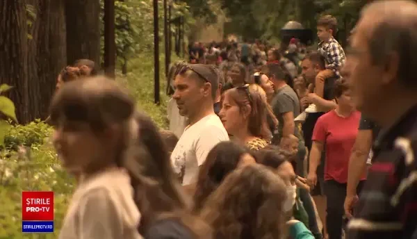 Bucureștenii s-au strâns la ZOO ca la urs. Oamenii sunt revoltați: ”Pur și simplu bătaie de joc”