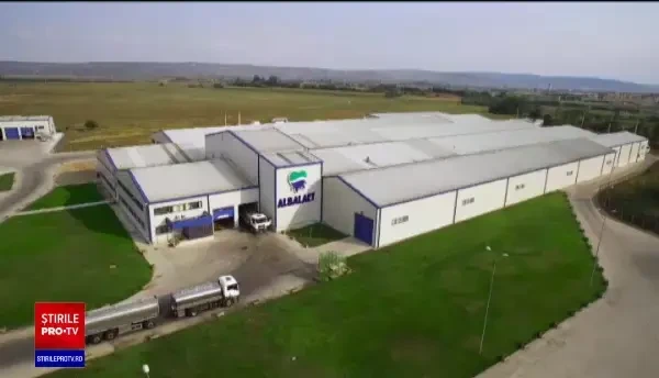 Albalact, lider al pieței lactatelor, sărbătorește Ziua Mondială a Laptelui