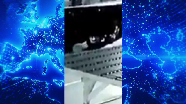 Oamenii sunt îngroziți: urșii au luat cu asalt străzile din Târgu Mureș