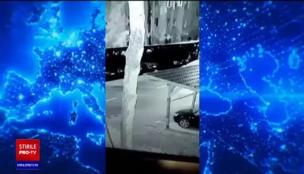 Oamenii sunt îngroziți: urșii au luat cu asalt străzile din Târgu Mureș