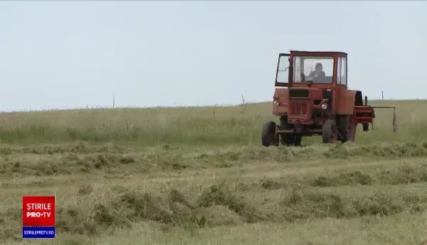 Tinerii agricultori, ajutați cu câte 50.000 de euro. Cum pot primi banii