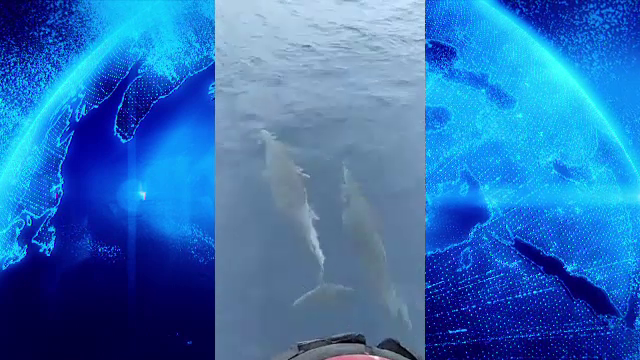 Marea Mediterană îşi revine după zeci de ani de exploatare. Poluarea a scăzut cu până la 30%