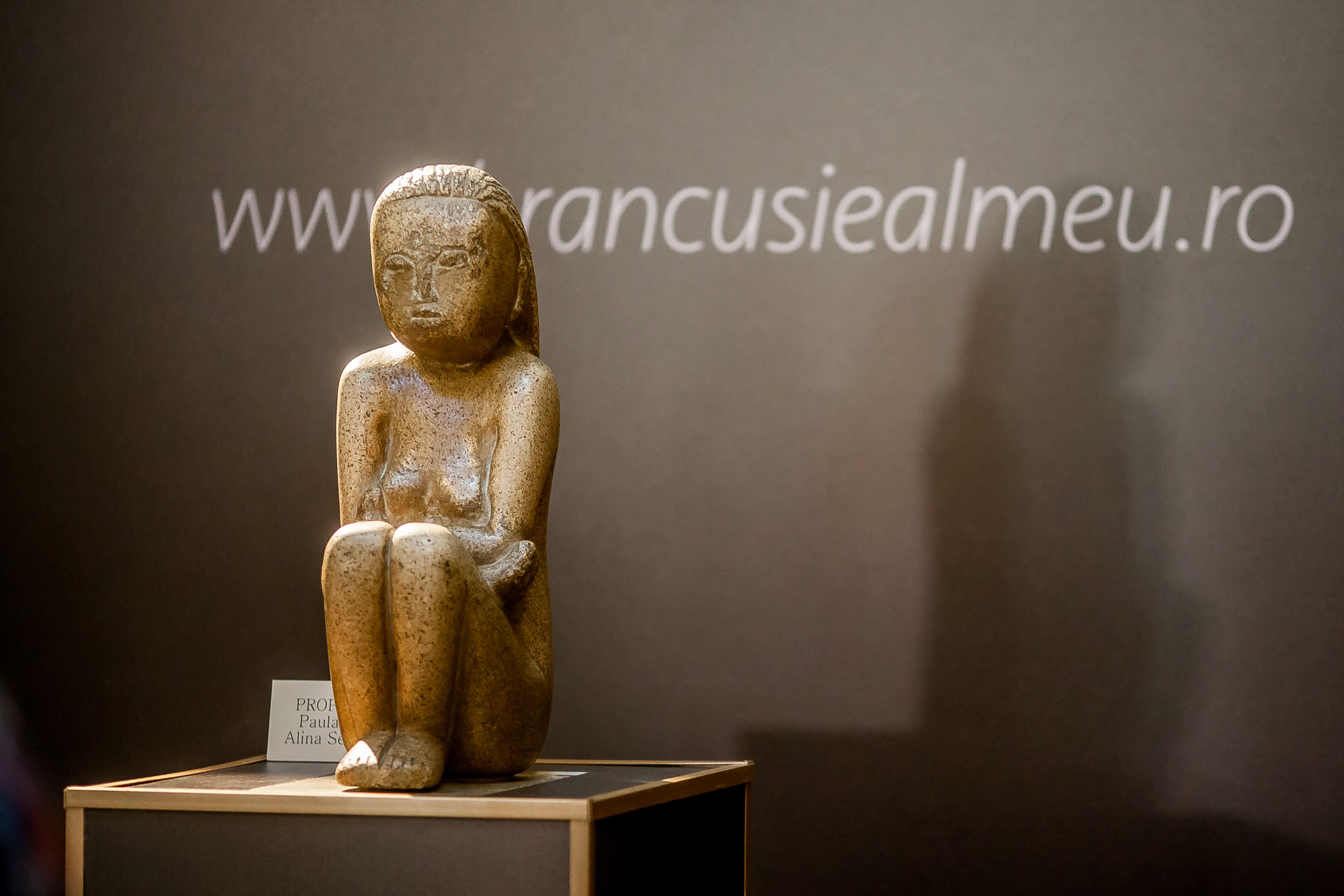 Ai donat pentru ”Cumințenia Pământului”? Află cum îți poți recupera banii