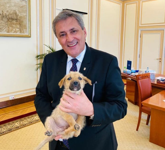 Gestul făcut de Marcel Vela, după ce doi copii din județul Mureș au omorât un câine: „Vă rog să-mi scrieți mesaj în privat”