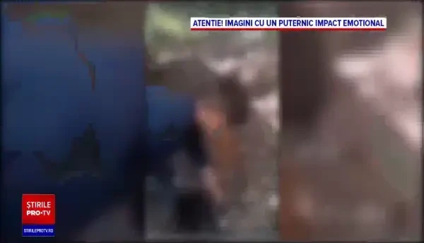 Cruzime fără margini în Mureș. Un cățel e ucis în bătaie cu lopata de un copil, care râde și se distrează