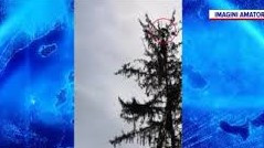 Pui de urs, hrăniți cu drona la orfelinat, în Harghita. VIDEO