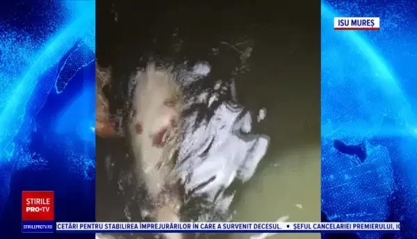 Ce a găsit un pescar din Târgu Mureș într-o fântână. Are 300 de kilograme