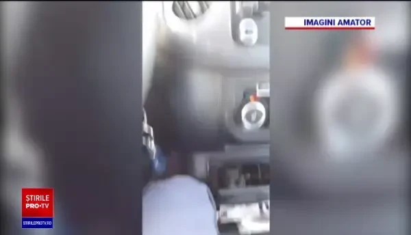 Urmărire transmisă LIVE pe Facebook. Hoţii au luat 3 viţei şi au fugit cu ei legaţi de căruţă