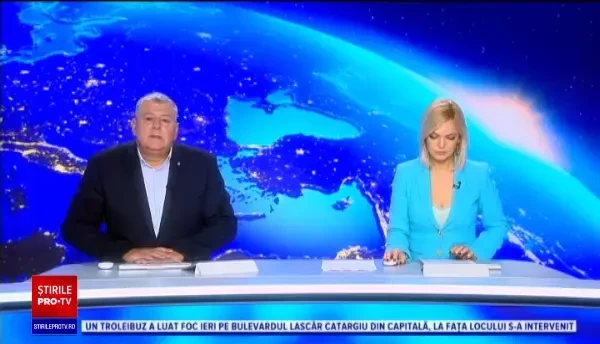 Accident straniu. Zeci de mii de albine au invadat autostrada