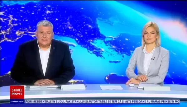 Cățelul care face cumpărături cu respectarea regulilor de siguranță sanitară