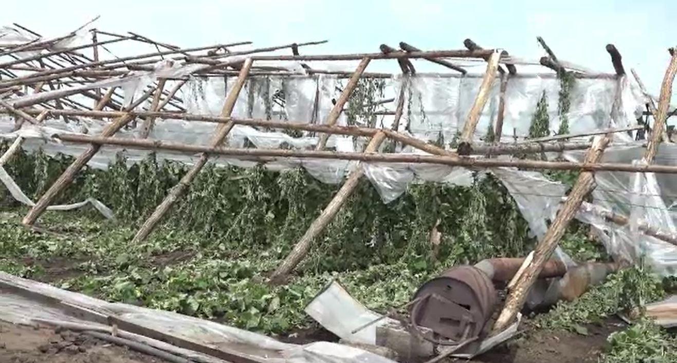 Vijelia a făcut prăpăd în Galați. Zeci de solarii au fost distruse în urma furtunii