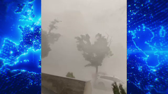 Fenomene extreme în România. Copaci doborâți, mașini distruse, orașe acoperite de grindină. ”Ăsta e uragan”